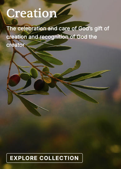 Creation
