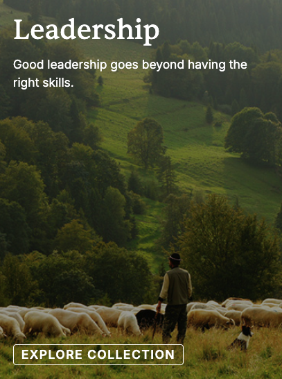 Leadership collection - Shepherd watching over his sheep