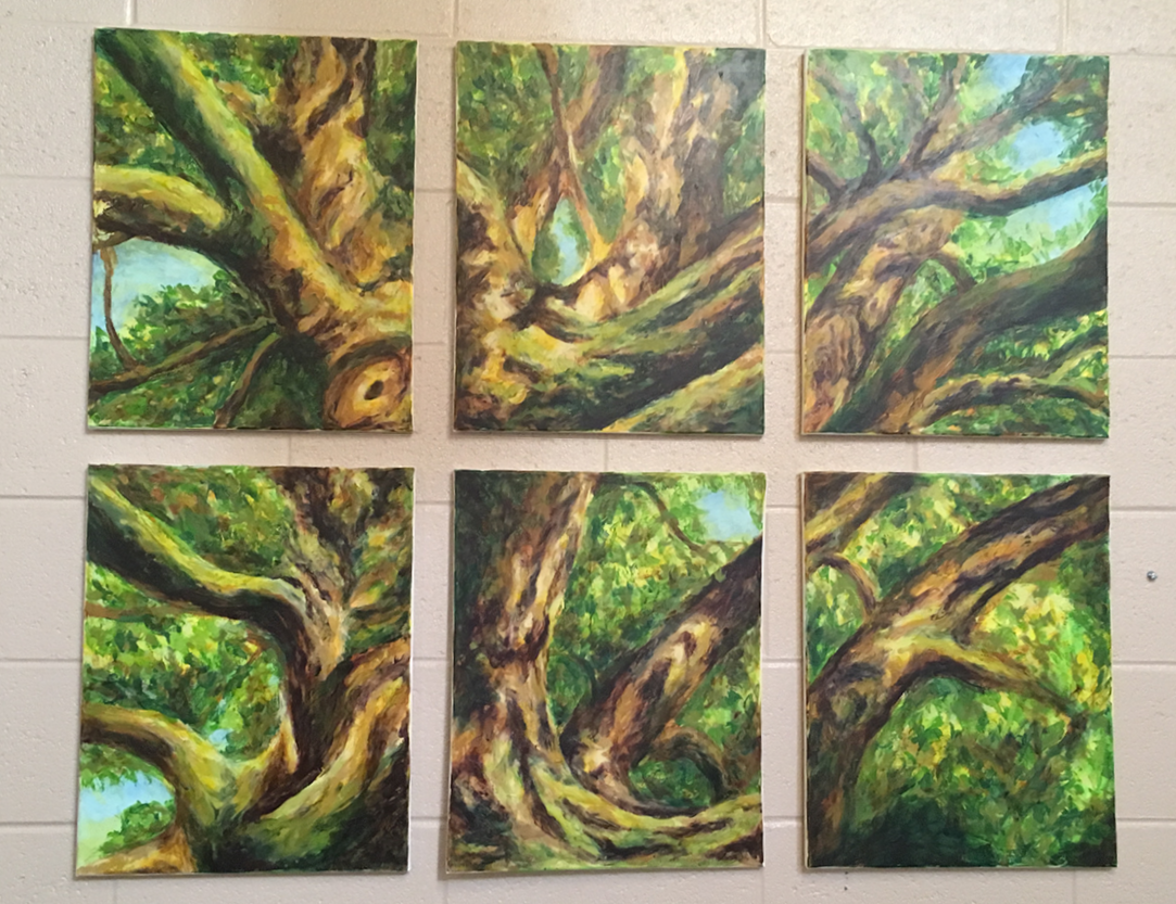 Rooted and Established