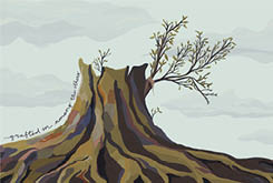 Tree stump with olive branches grafted to the stump