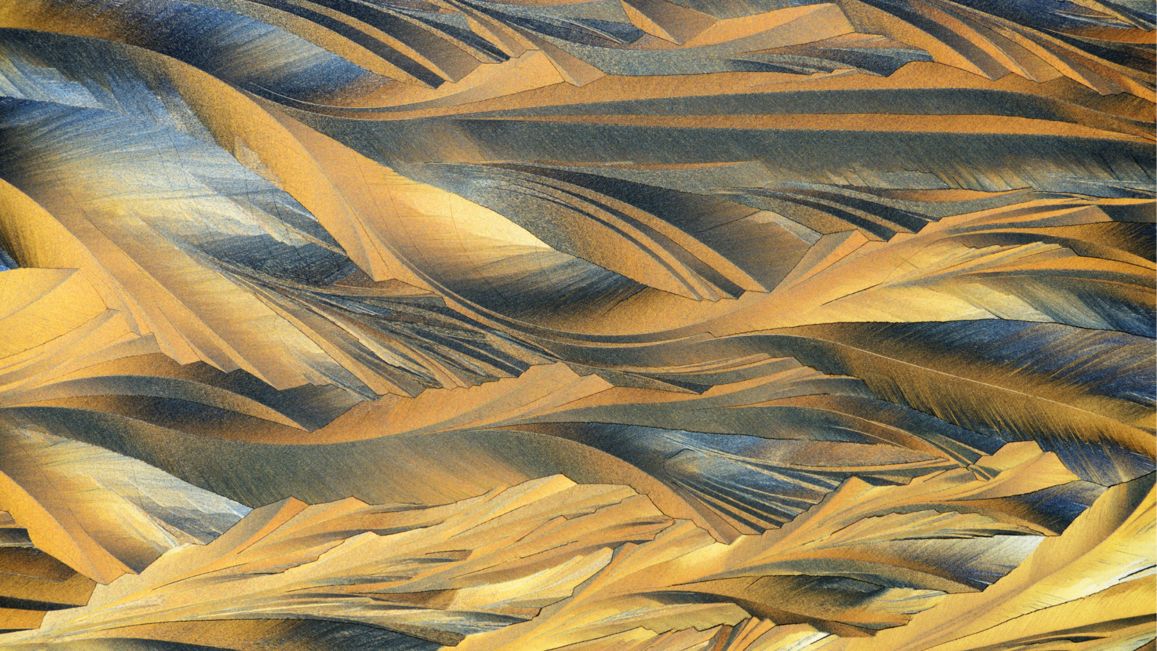 Microscopic image of crystals growing from melted sulfur. | AlexmarPhoto, CC BY 4.0,